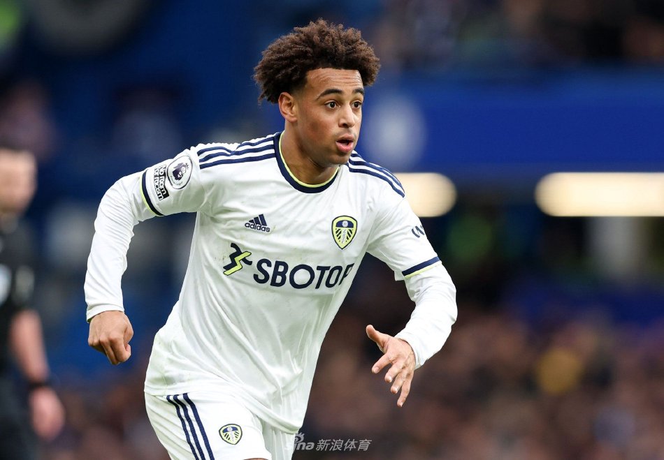 的延伸部分 的延伸部分